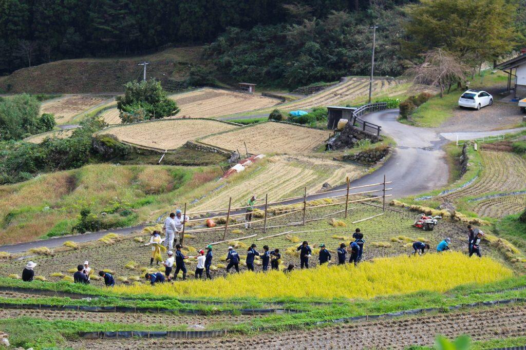 オーナーになると、お米作りの体験はもちろん、四万川地区で穫れた美味しい野菜や特産品も送られてくるそうですよ♪
