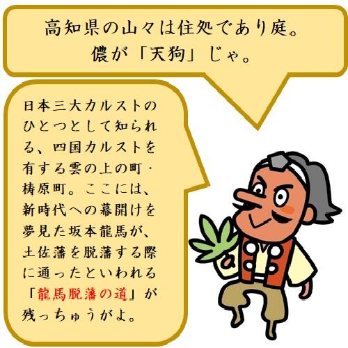 文久2年(1862年)3月24日、龍馬は同志である惣之丞と共に、自身の生まれ育った土佐藩(高知市)を出奔。翌25日梼原町に到着し、梼原の勤王の志士である那須俊平(なすしゅんぺい)・信吾(しんご)父子の屋敷に宿泊します。
