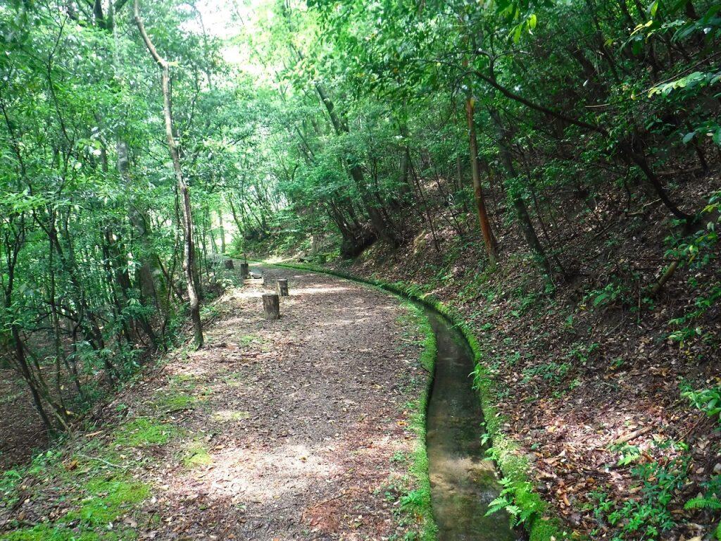 久保谷セラピーロードは、久保谷景勝地といわれる渓谷を形成しており、澄んだ川と緑に包まれたコースを、休憩を取りながらゆっくり自分のペースで歩いていく