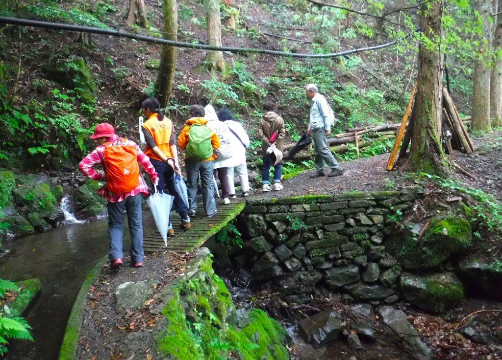 久保谷セラピーロードは、高低差や傾斜がほとんどない全長約3kmのフラットなロードで水路に沿って歩いていくコース