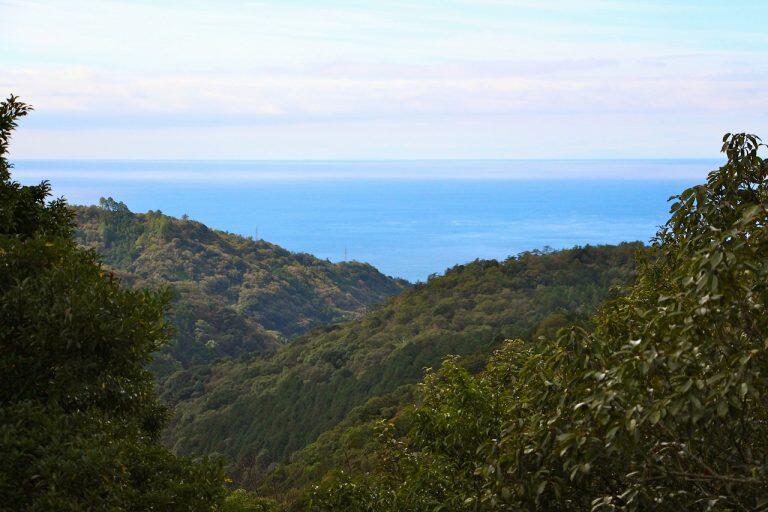 夏でも平野部より3℃ほど気温が低く、海からは心地よい風が吹き抜けるため、暑さに弱い豚も快適に過ごせます