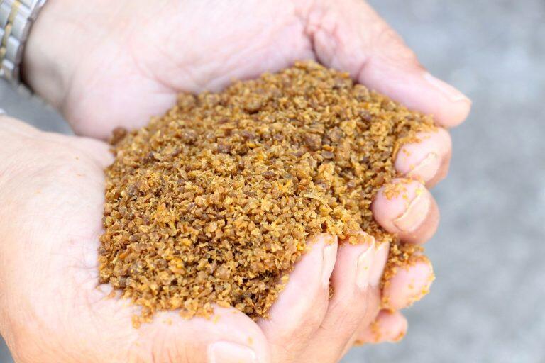 おがくずやもみがらで発酵床を作るなど飼育環境も整えています。