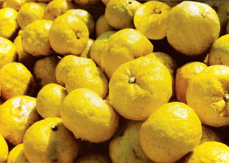 「北川村ゆず王国」の人気セレクション！