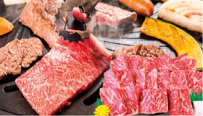 特選焼き肉用セット_イメージ