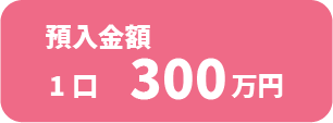 預入金額：1口300万円