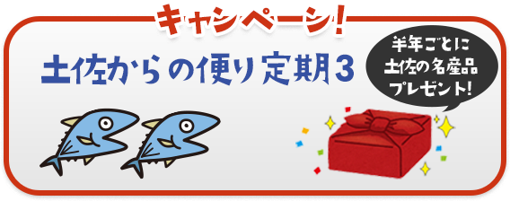 キャンペーン！ 土佐からの便り