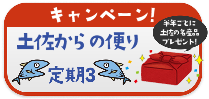 キャンペーン! 土佐からの便り