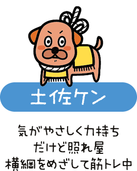 土佐ケン　気がやさしく力持ち　だけど照れ屋　横綱をめざして筋トレ中