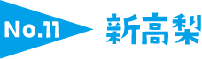 No.11 新高梨