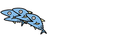 Q & A