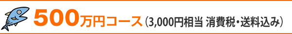 500万円コース（3,000円相当 消費税・送料込み）