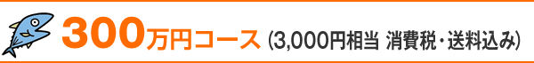 300万円コース(3,000円相当 消費税・送料込み)
